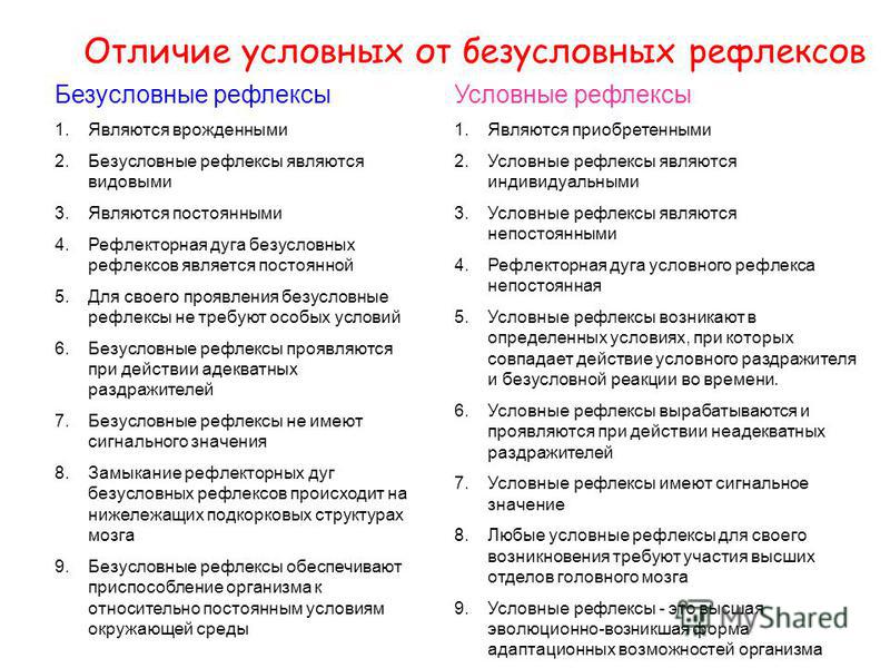 Условные рефлексы и их характеристика Условные рефлексы и их характеристика