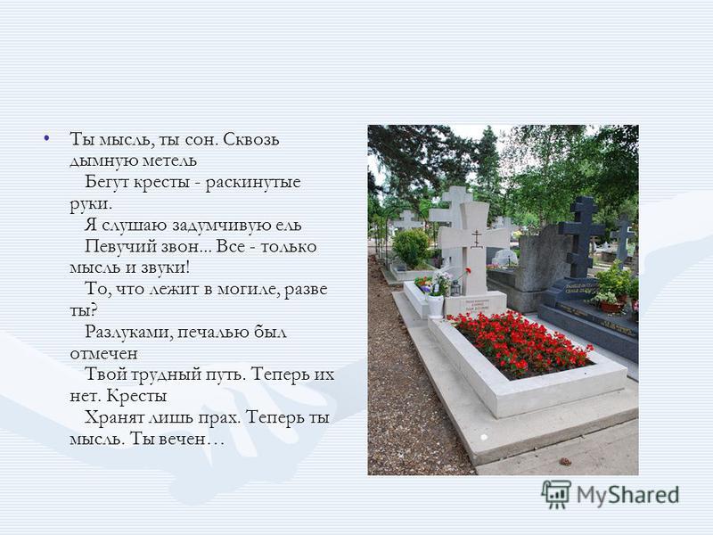 Что обозначает если тебе приснилось кладбище