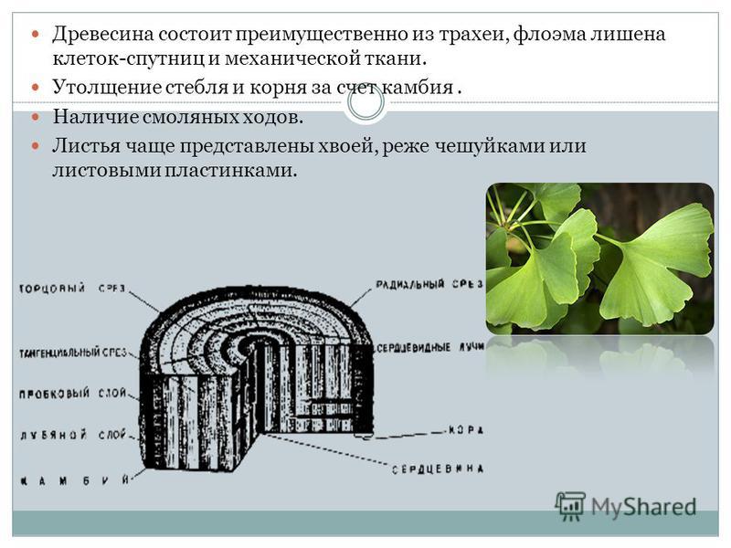 Вязание различных форм Вязание различных форм