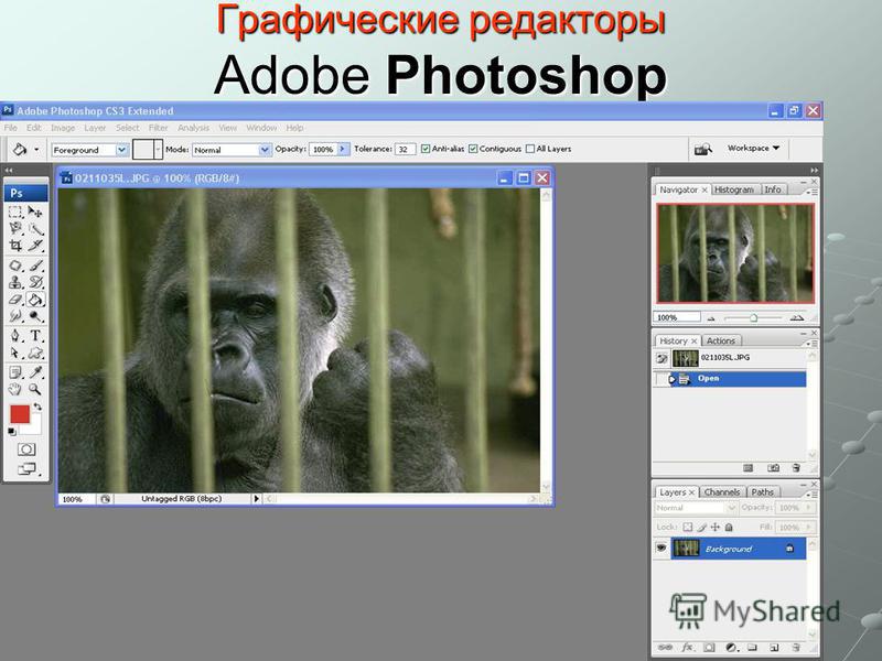 Графические редакторы Adobe Photoshop