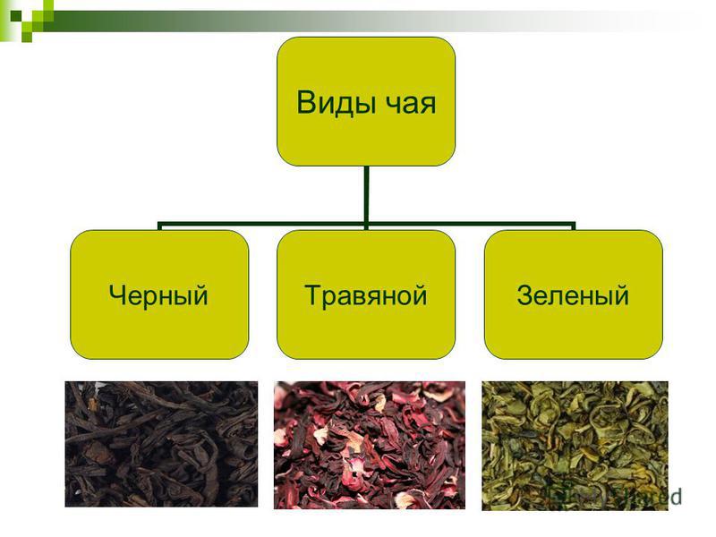 Проект на тему виды чая Какие Виды Чая Можно Найти В Магазинах - Telegraph