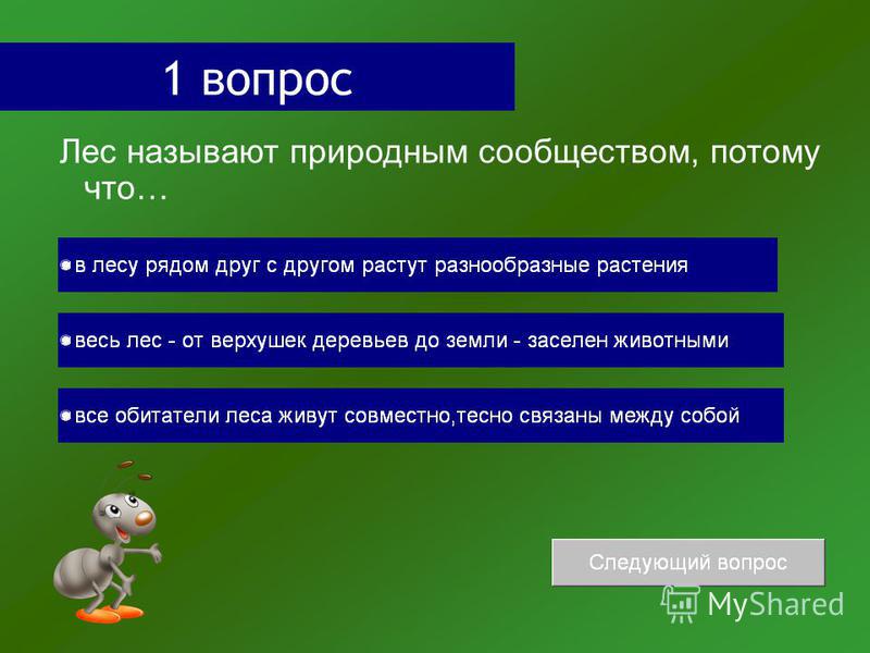 Презентация на тему: "Презентация по окружающему миру "Природное сообщество - лу