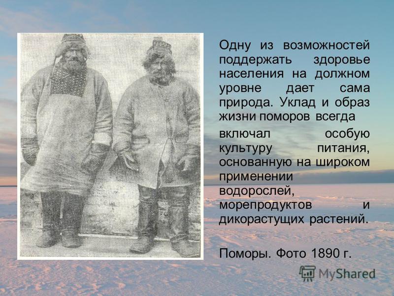 Презентация загадки поморского края проект