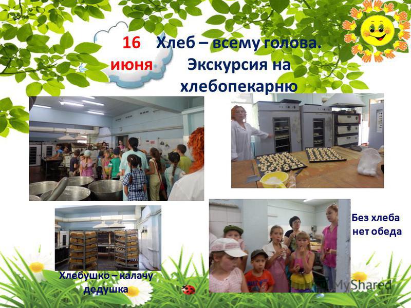 Летний 29 Летний 13