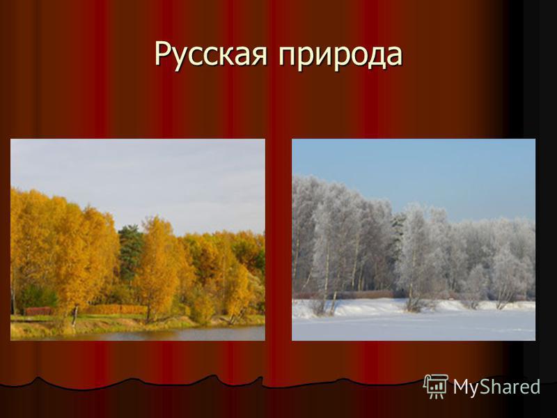 Русская природа