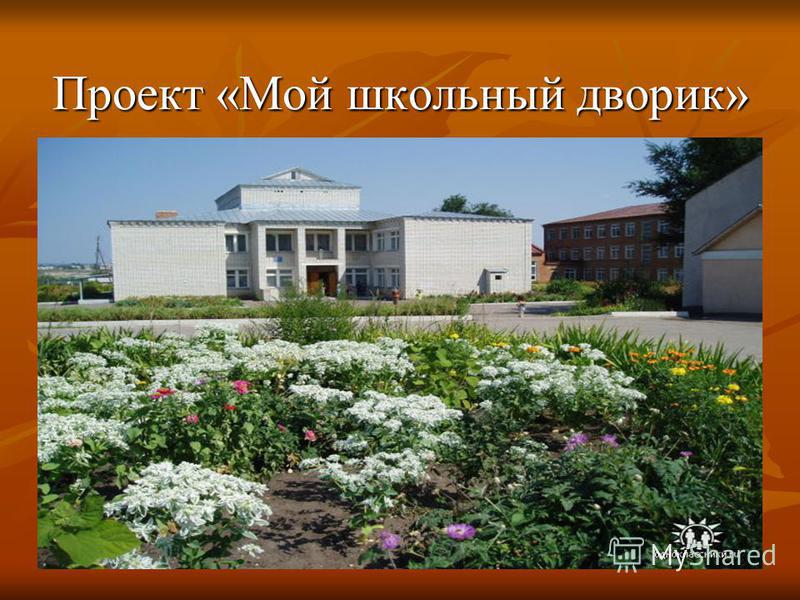 Школьный проект школьный дворик