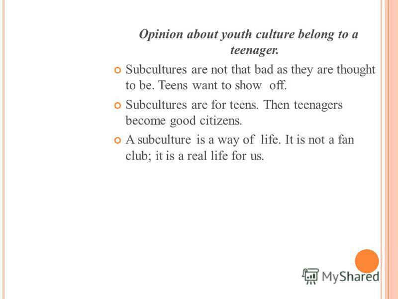 a report on youth culture and subcultures a report on youth culture and subcultures