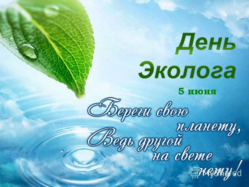 Поздравить с днем эколога в прозе Поздравить с днем эколога в прозе