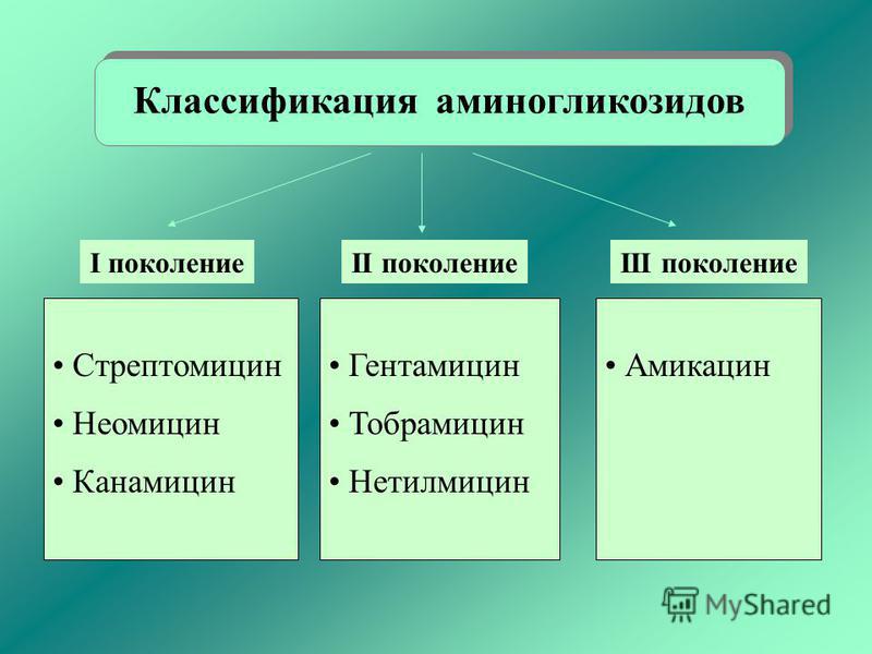 Аминогликозиды и беременность 70