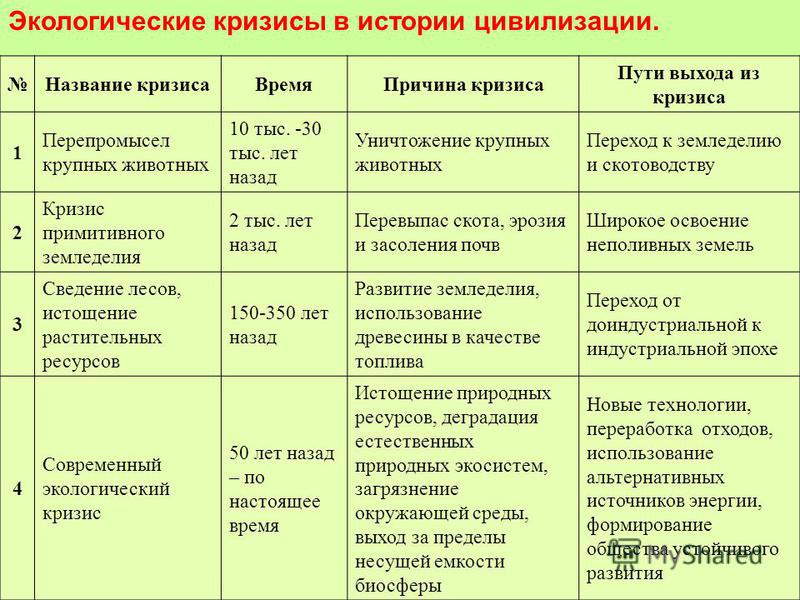 Экологические Кризисы В Истории Человечества Реферат Экологические Кризисы В Истории Человечества Реферат