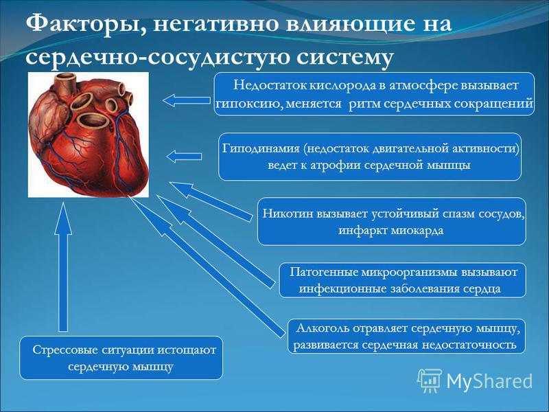 Гиподинамия (недостаток двигательной активности) ведет к атрофии сердечной мышцы Алкоголь отравляет сердечную мышцу, развивается сердечная недостаточность Никотин вызывает устойчивый спазм сосудов, инфаркт миокарда Патогенные микроорганизмы вызывают 