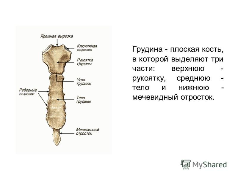 Благовіщенська РДА Балкон под ключ, утепление, остекление, обшивка