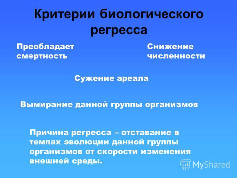 Биологический прогресс приведите примеры