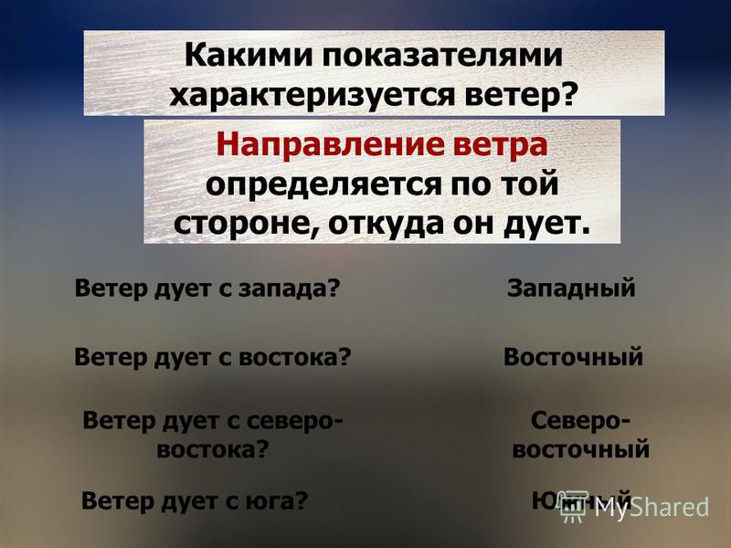Их крылья должны все время ловить ветры которые дуют с разных сторон Их крылья должны все время ловить ветры которые дуют с разных сторон