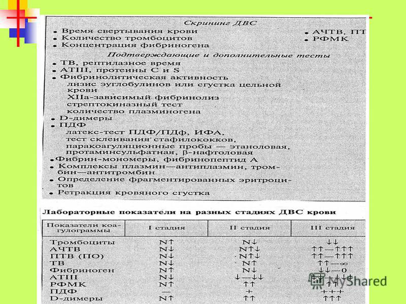 Скорость кровотока в венах