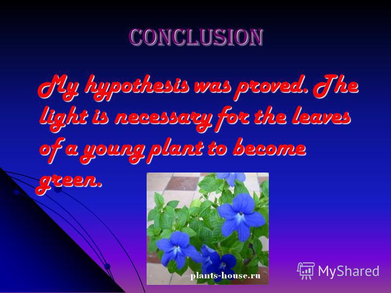 Conclusion My hypothesis was proved. The light is necessary for the leaves of a young plant to become green. My hypothesis was proved. The light is necessary for the leaves of a young plant to become green.