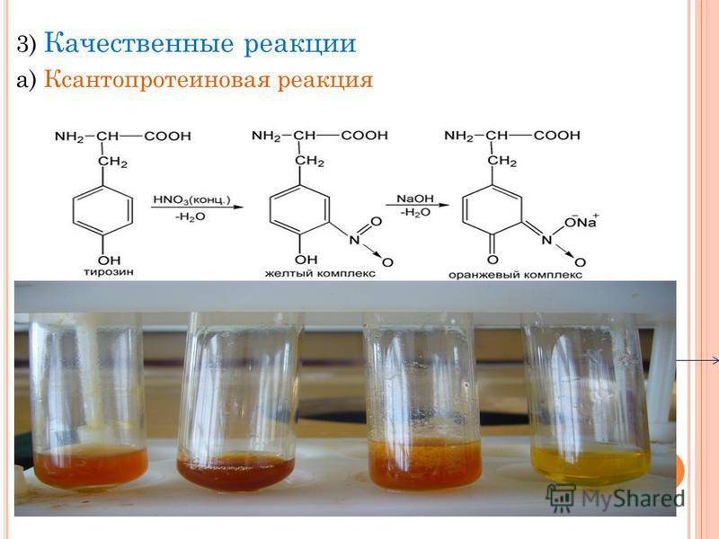 продукты вызывающие запах изо рта продукты вызывающие запах изо рта