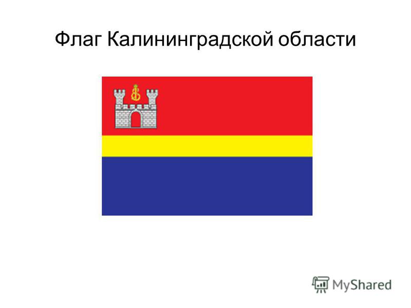 Флаг Калининграда Фото