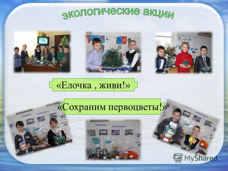 Конкурсы для школьников класса Конкурс «Пантомима» Конкурс «ЧИП» Положение о конкурсе