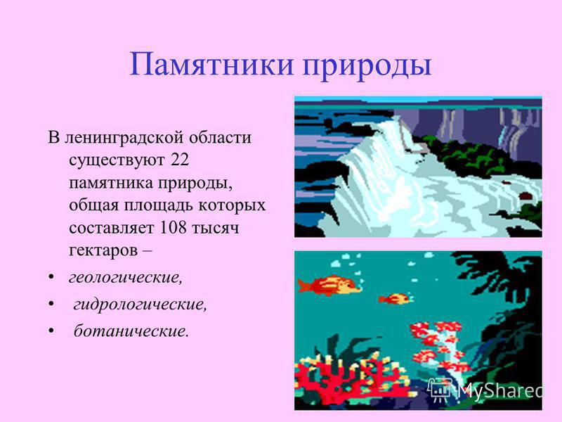 Проект природа ленинградской области