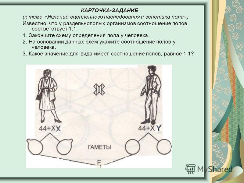 Примеры генетических задач биология 9 класс
