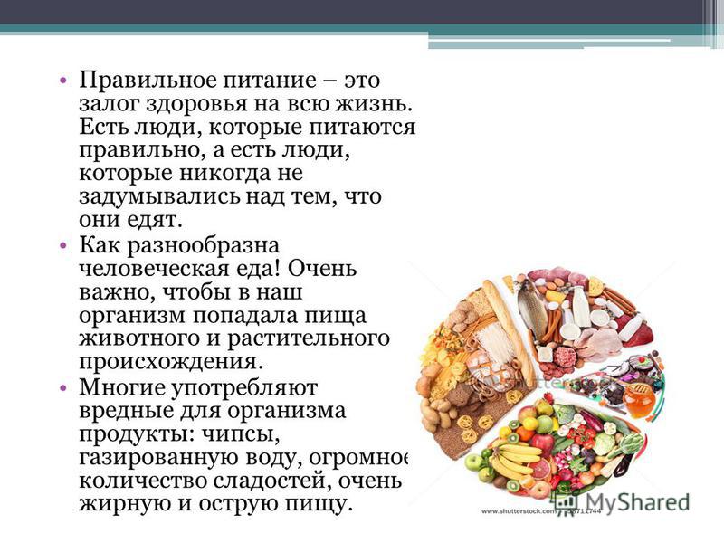 Правильное питание что есть утром что есть днем Правильное питание что есть утром что есть днем