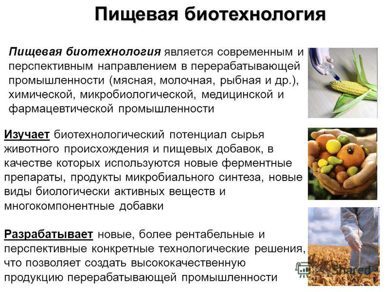 Презентация биотехнология 10 класс химия