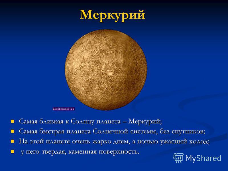 Стих о собаке до слёз Стих о собаке до слёз