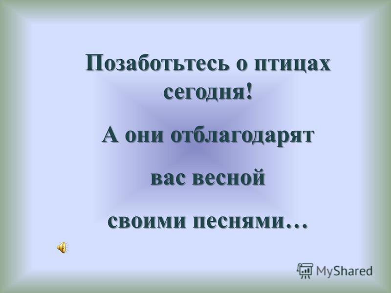 Интернет-магазин подарков в Москве - купить подарок Интернет магазин футбольной формы SoccerStyle