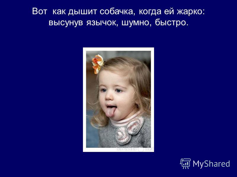 Как сделать языком трубочку фото 228