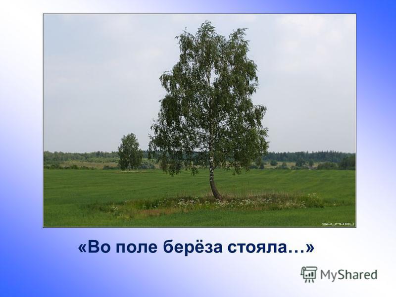 Скачать бесплатно пословицу о родине Скачать бесплатно пословицу о родине
