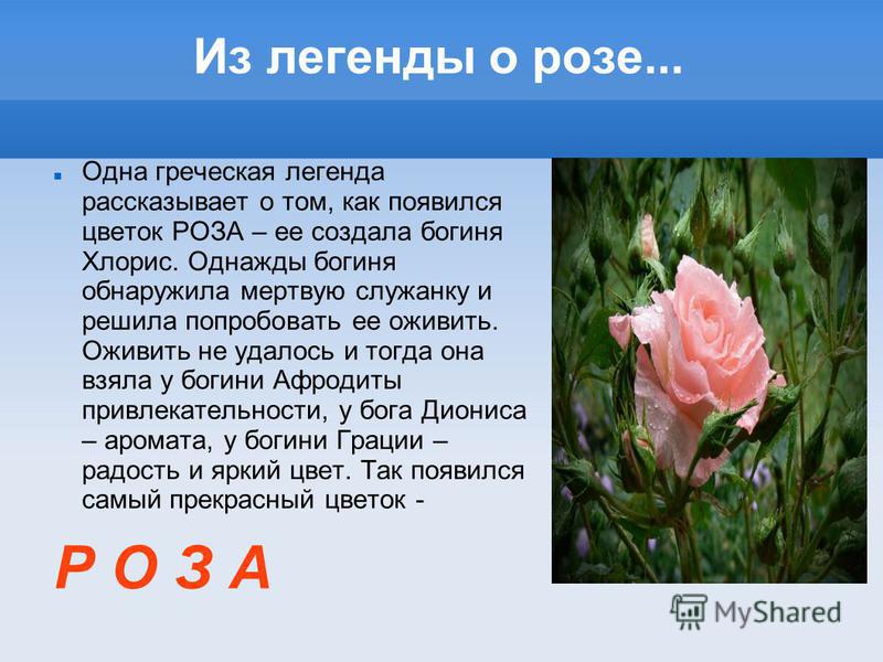 Поздравления на День встречи выпускников 2018 в прозе ПОСВЯЩАЕТСЯ УЧИТЕЛЮ ШКОЛЫ 23 : Управление образования администрации