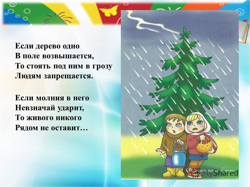 Поведение людей в природе картинки Поведение людей в природе картинки