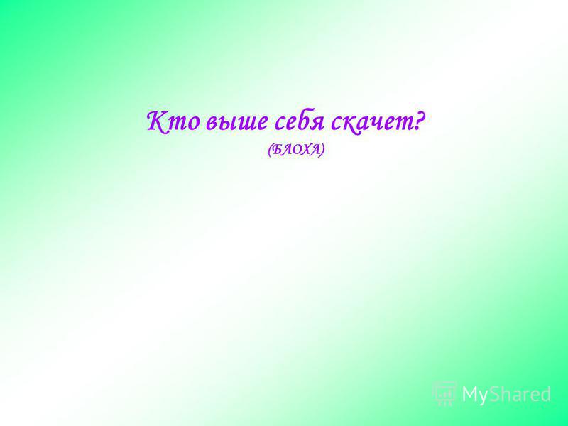 Кто садится на цветок Кто садится на цветок