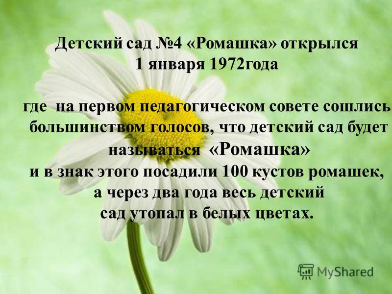 Презентация на тему: "Зелёная аптека Зелёная аптека Автор - составитель презента