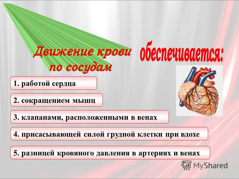 Спортивный компрессионный трикотаж при варикозе