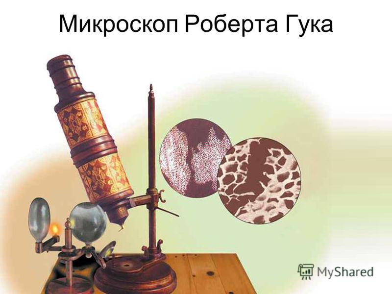 Микроскоп Роберта Гука