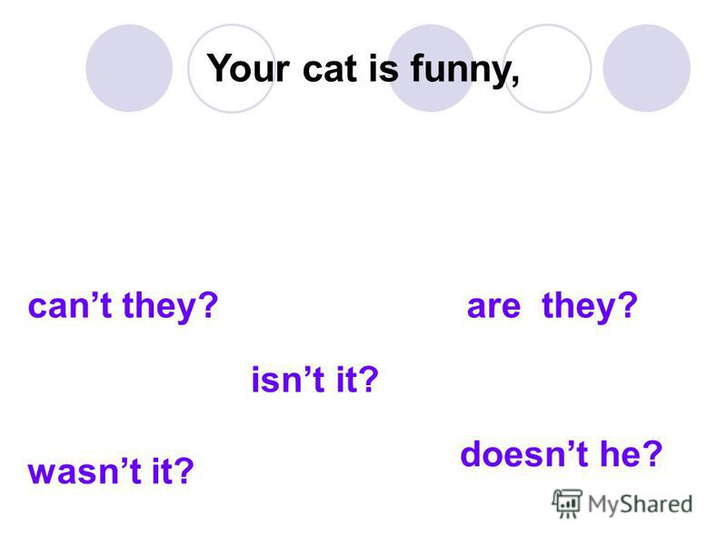 Your cat is funny, cant they? are they? wasnt it? isnt it? doesnt he?