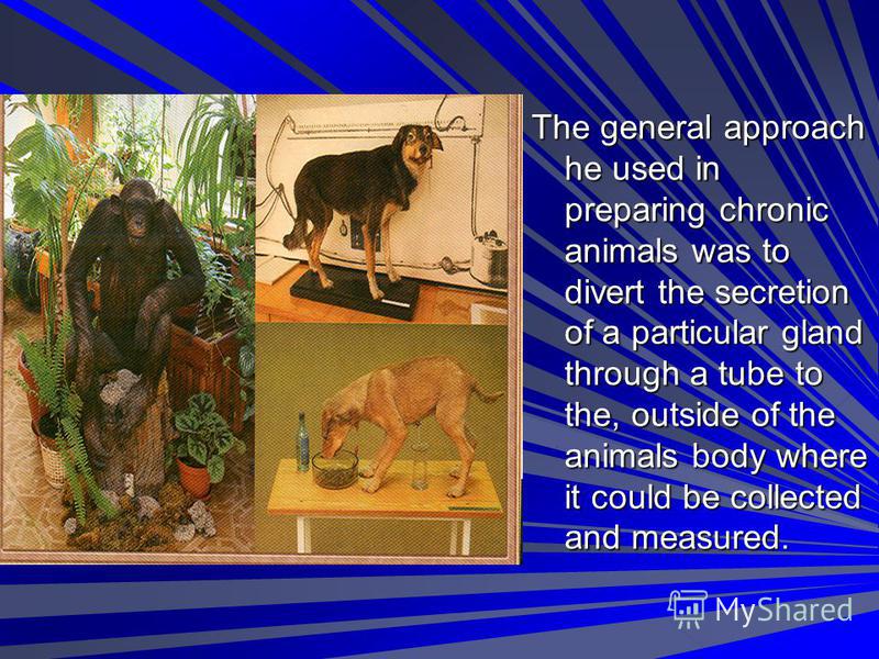 The general approach he used in preparing chronic animals was to divert the secretion of a particular gland through a tube to the, outside of the animals body where it could be collected and measured.