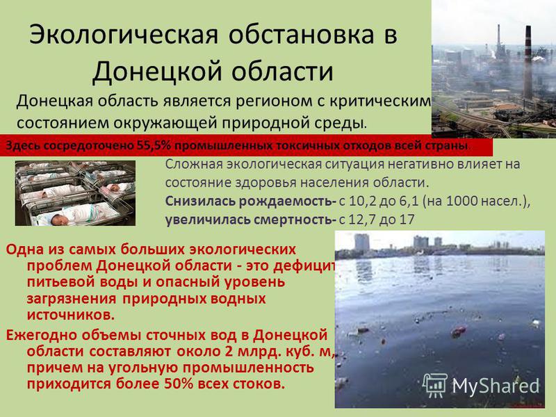 Реферат: Экологическая обстановка Донбасса