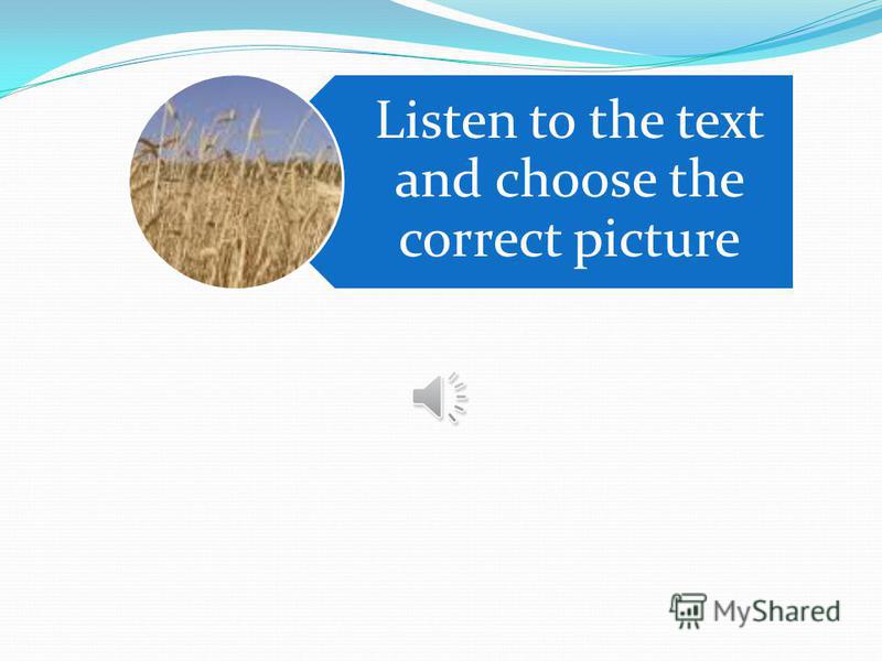 Listen to the text and choose the correct picture