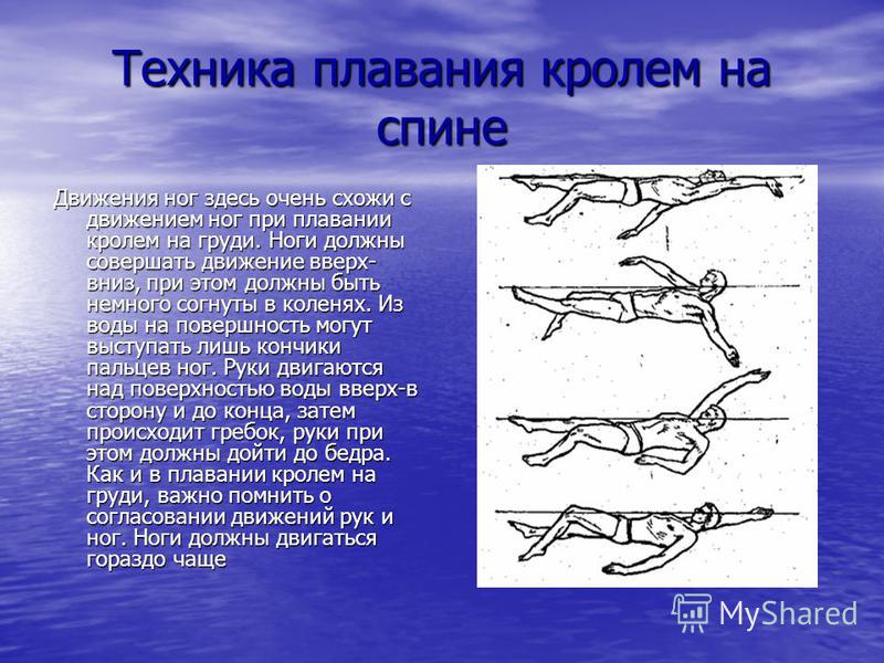 Реферат Техника Кролем На Груди Реферат Техника Кролем На Груди