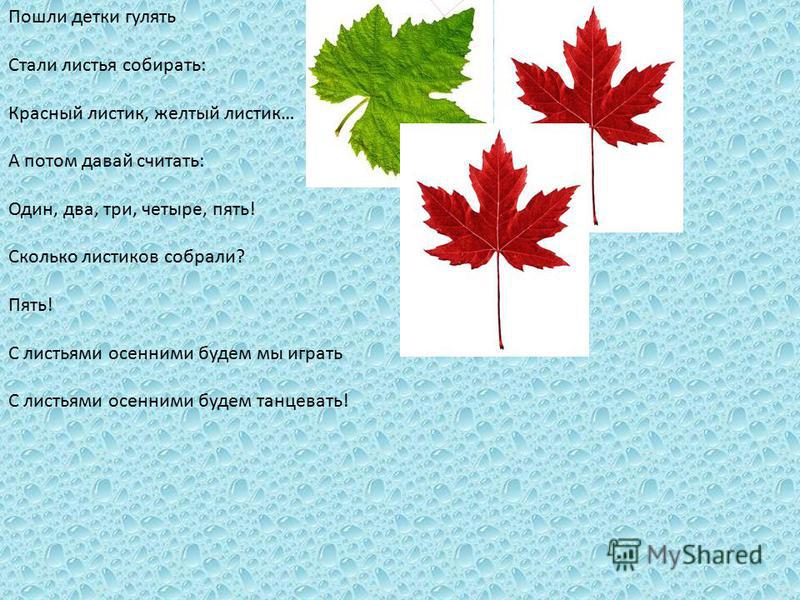 Стих про листочки для детей Стих про листочки для детей