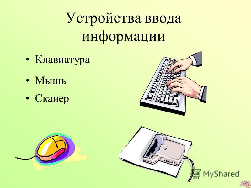 Устройства ввода информации Клавиатура Мышь Сканер