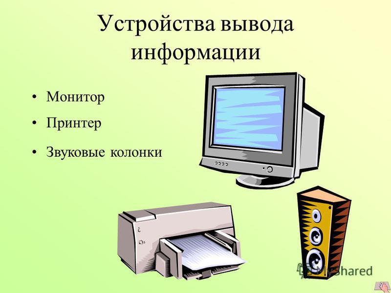 Устройства вывода информации Монитор Принтер Звуковые колонки
