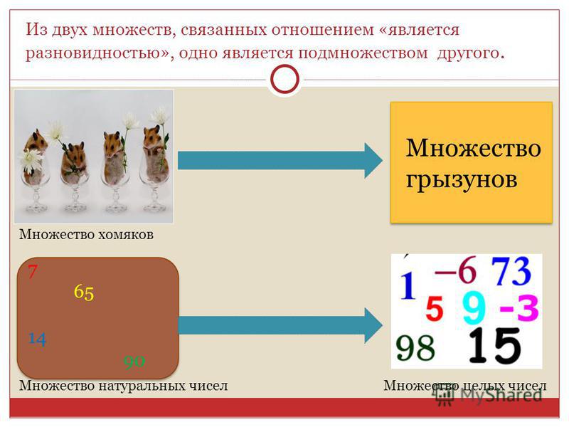 Презентация на тему: "Множество птиц Множество попугаев Из двух множеств, связан