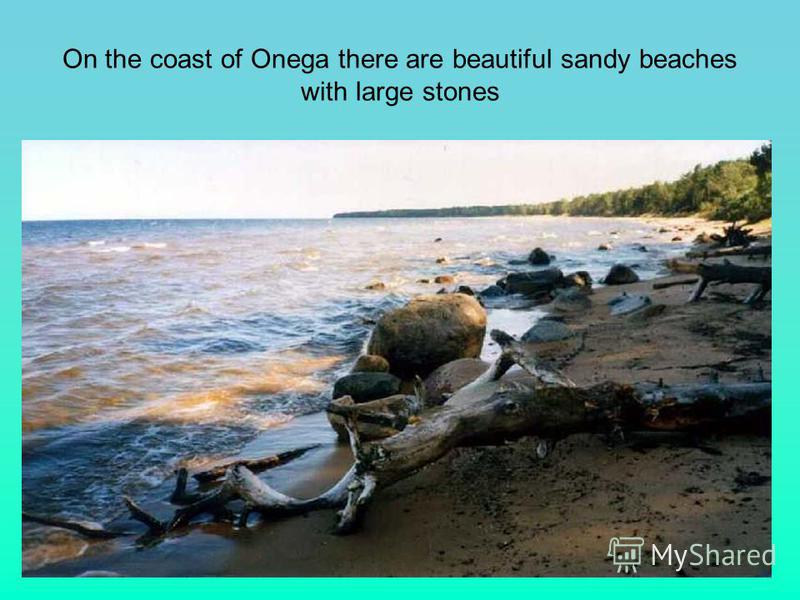 On the coast of Onega there are beautiful sandy beaches with large stones