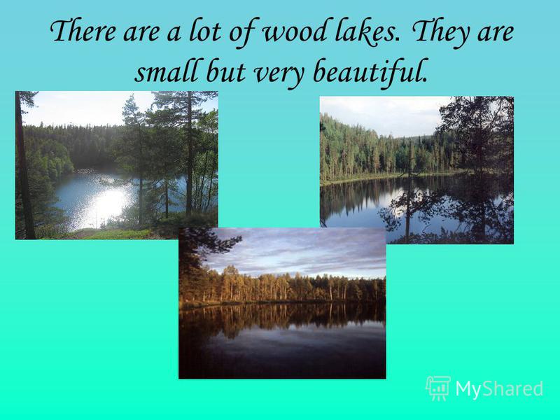 There are a lot of wood lakes. They are small but very beautiful.
