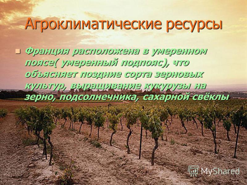 Замена usb разъема своими руками Замена usb разъема своими руками