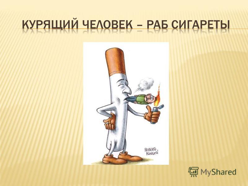 Реферат: Сигары